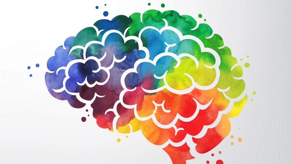 Cerebro: por qué casi siempre elige al color azul como favorito